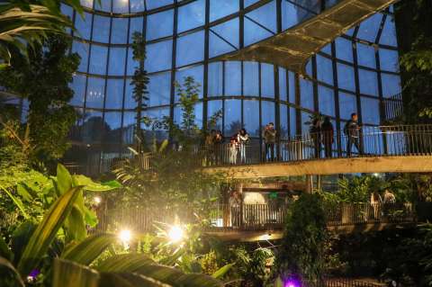 Jardín Botánico de Noche en Bogotá: cómo asistir a este evento en Halloween