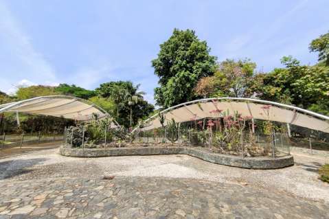 La apuesta cultural y educativa del Jardín Botánico de Medellín
