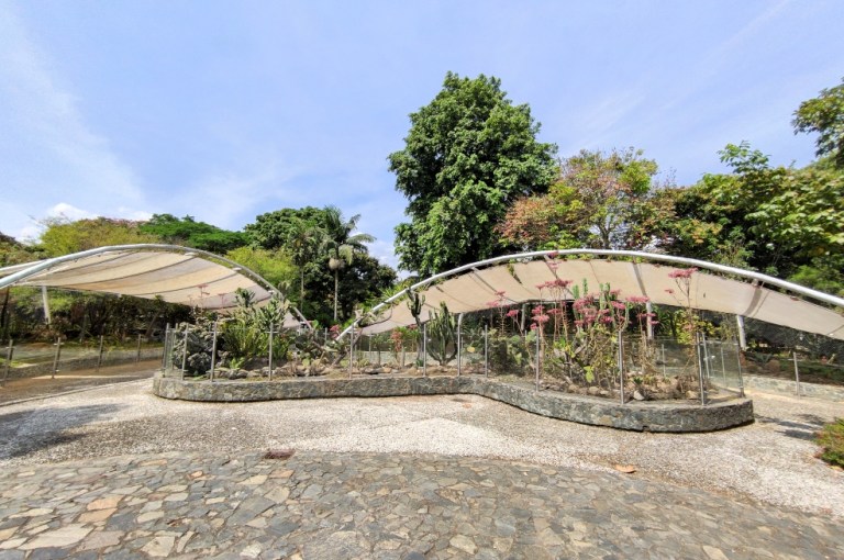 Los líos políticos detrás de la crisis económica del Jardín Botánico de Medellín