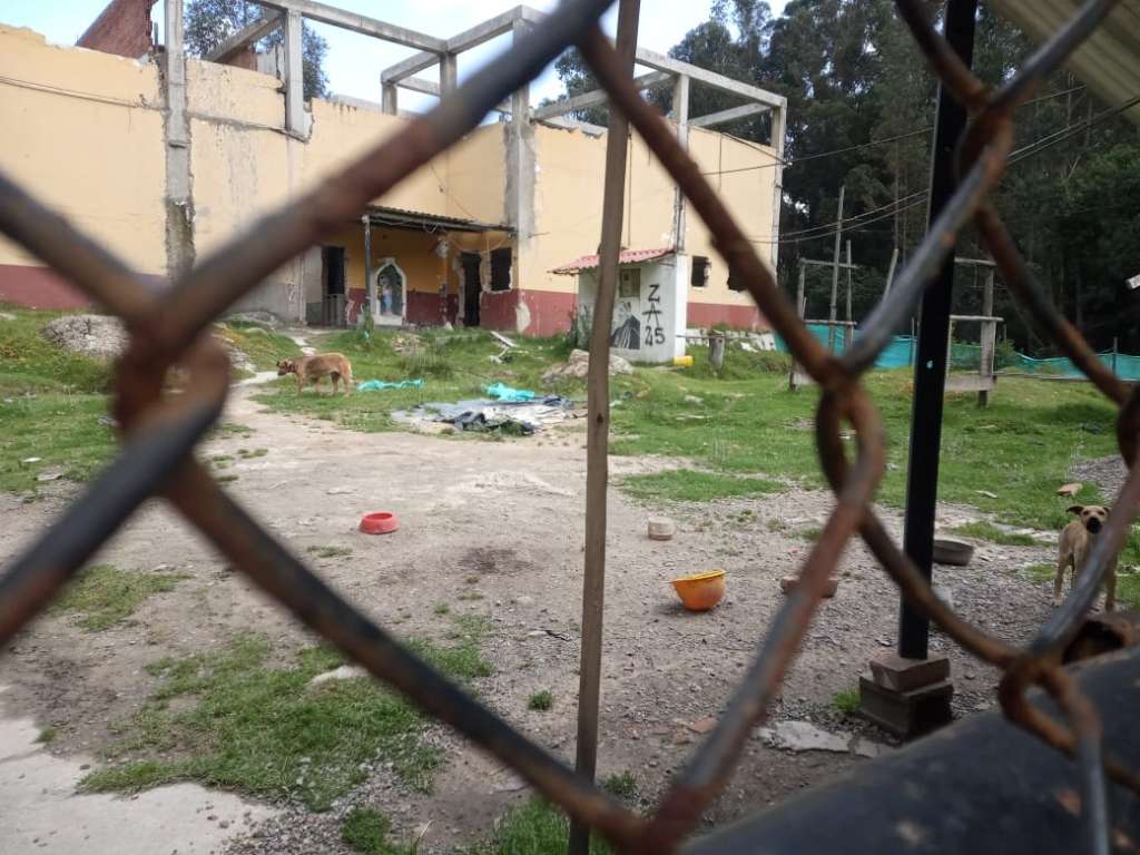 La obra, que solo presenta un avance del 40 % es utilizada por varias personas para abandonar a varios animales. Activistas de la zona piden una solución.