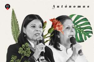 Cuando las mujeres se juntaron en el Congreso para ser una sola voz
