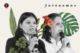 Cuando las mujeres se juntaron en el Congreso para ser una sola voz