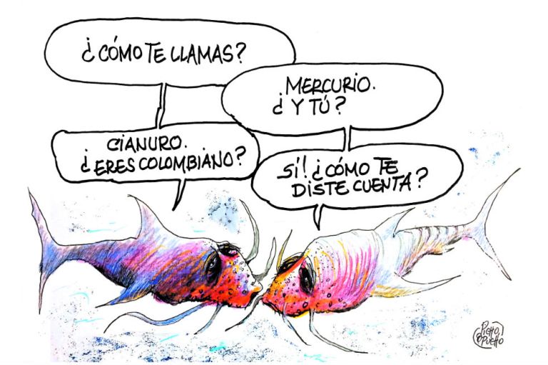 Gallo de pelea