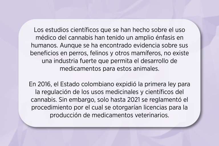 Cada vez existe más investigación sobre los usos veterinarios del cannabis medicinal, lo que ayuda a conocer más sobre sus beneficios y posibles riesgos.