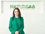 Gas natural, clave en la transición energética