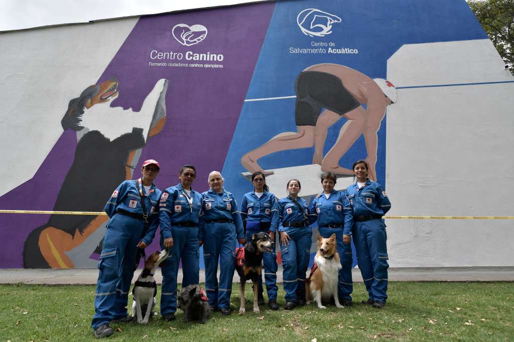 Perros de apoyo psicosocial: así ayudan a las víctimas de eventos traumáticos