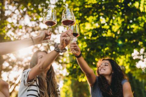 Rutas de enoturismo: planes para disfrutar entre viñedos, bodegas y catas únicas