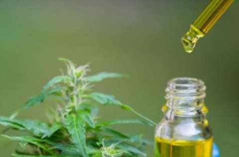 Cannabis medicinal: los esfuerzos de Bogotá por fomentar el mercado legal