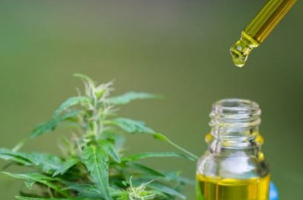 Cannabis medicinal: los esfuerzos de Bogotá por fomentar el mercado legal