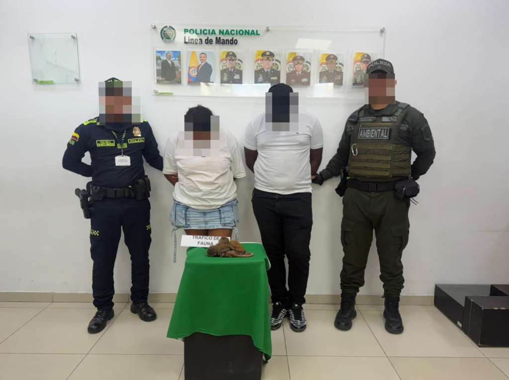Los capturados fueron identificados como una mujer de 27 años y un hombre de 26 provenientes del Cesar.