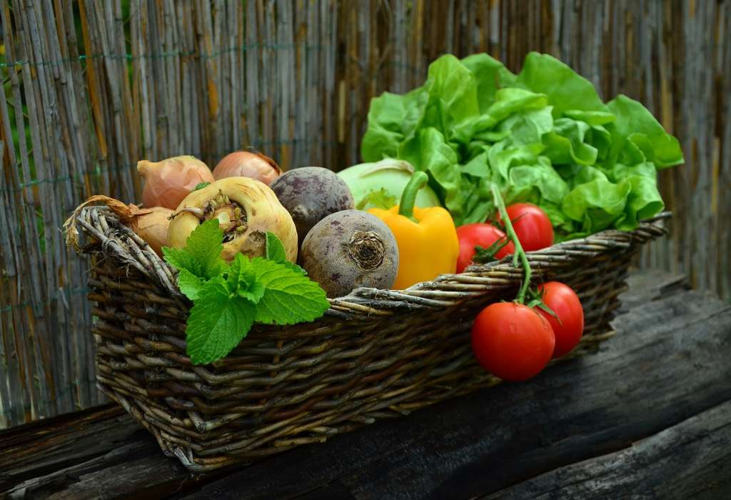 Día de la Gastronomía Sostenible