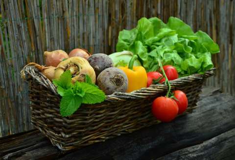Día de la Gastronomía Sostenible: conceptos que definen este concepto culinario