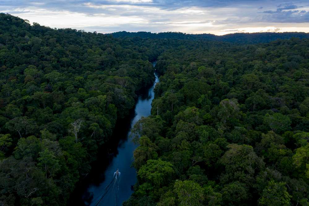 Las especies invasoras son uno de los principales motores de pérdida de biodiversidad en el mundo.