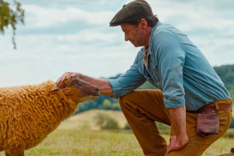 ‘The Sheep Detectives’: el thriller donde unas ovejas ayudan a resolver un asesinato