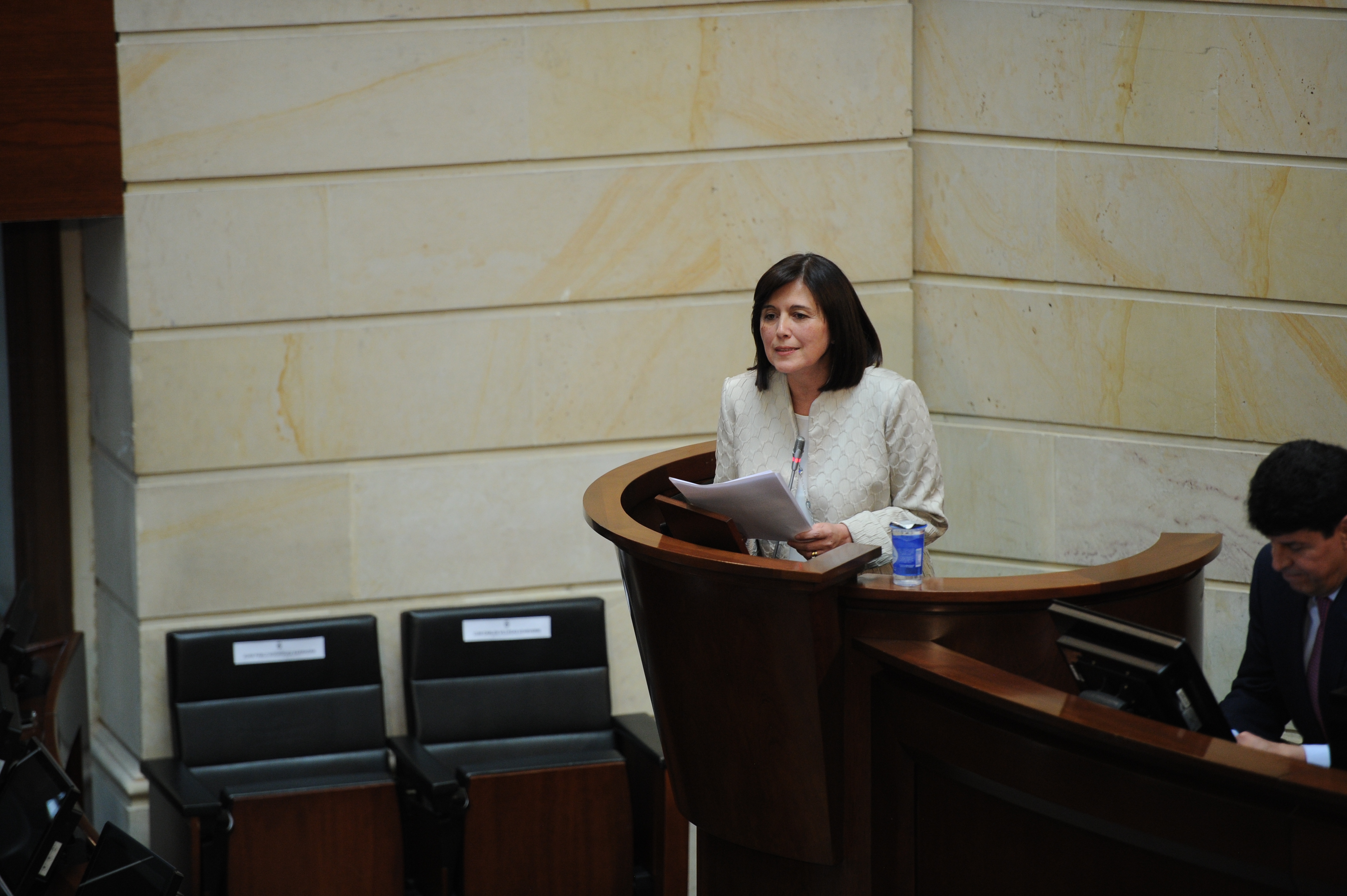 Integrante de la terna presentada por la Corte Suprema de Justicia, para el cargo de magistrado de la Corte Constitucional, durante su intervención ante el Senado de la República.