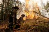Emergencia ambiental en Tolima por incendios forestales