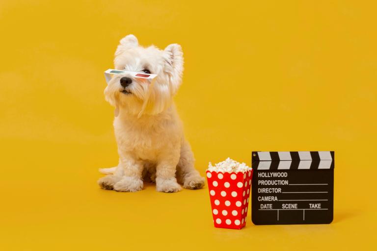 Así es como la industria del cine logró que los animales hablaran en películas