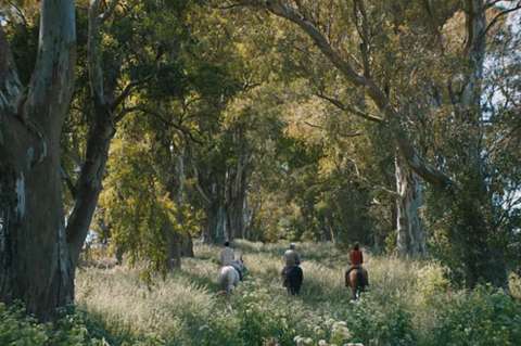La dictadura argentina, entre las doce tramas de Encounters de Berlinale