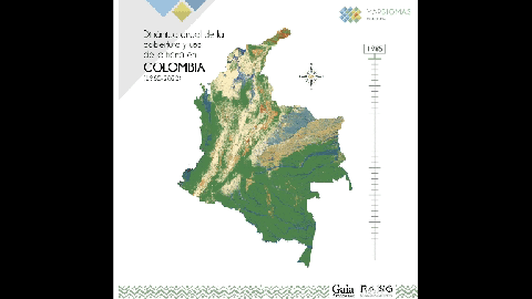 En cuatro décadas, Colombia perdió en bosques un área tan grande como 27 veces Bogotá