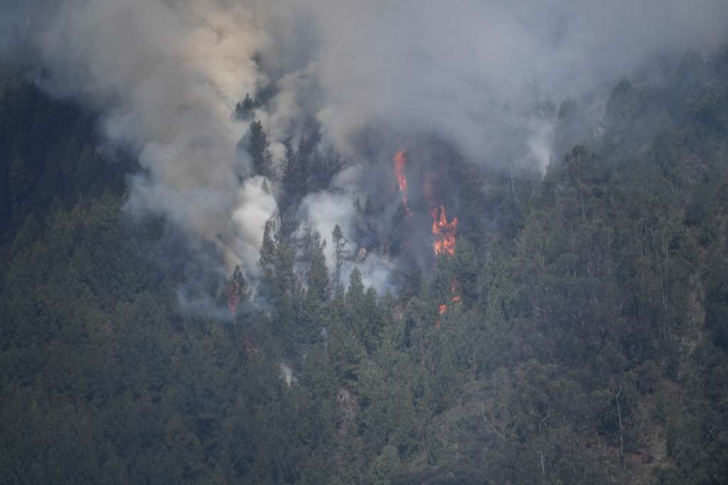 Incendios en los Cerros Orientales, Bogotá.