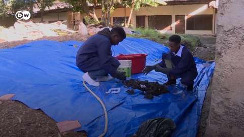 Estudiantes de Tanzania desarrollan abono a base de cabello
