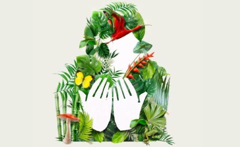 Feria del libro de Bogotá 2024: ¿puedo llevar a mi mascota?