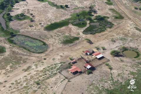 Erradicar el hambre sin cobrarle al medio ambiente