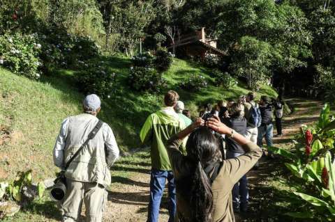 Colombia y Perú se disputan el título al país con mayor avistamiento de aves