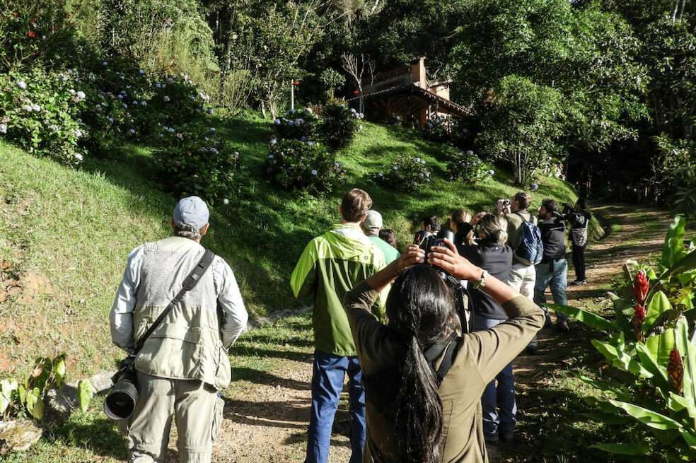 De ganar, Colombia se llevaría por tercera vez el puesto del país con mayor avistamientos de aves del mundo. / Tomado del Twitter @GachalaPrensa