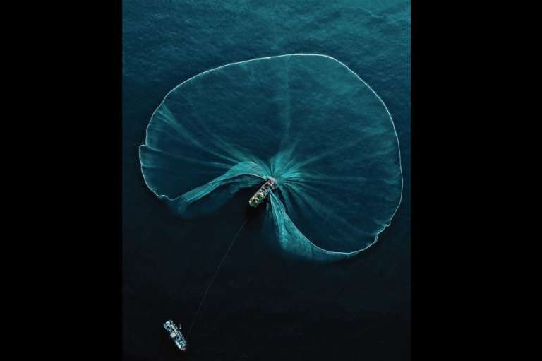 Categoría Gente y naturaleza:
Robert Middleton, de Reino Unido, capturó el momento en que unos pescadores recolectan anchoas en la costa de Phu Yen, en Vietnam.
Para Middleton, "esta escena nos recuerda nuestra interconexión con la naturaleza y nuestra responsabilidad de actuar como guardianes de la Tierra".
