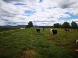 Prohiben actividades agropecuarias en la laguna de Fúquene