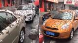 ¿Lluvia de gusanos? conozca la realidad detrás del suceso que sorprendió al mundo