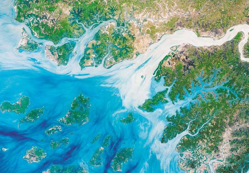 Una fotografía satelital de los estuarios de Guinea Bissau. / Landsat - NASA