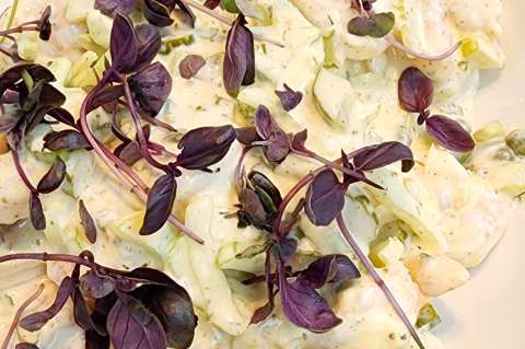Receta para preparar ensalada de camarones con mayonesa y pepinillos