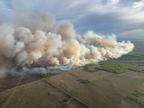 Mejorar la calidad del aire aumentaría los incendios forestales, ¿por qué?