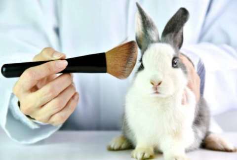 Estas campañas buscan poner fin a la experimentación animal con fines cosméticos