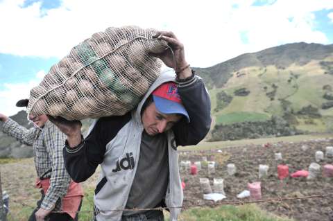Sin leche ni combustibles: bloqueos en Boyacá revelan fracturas productivas