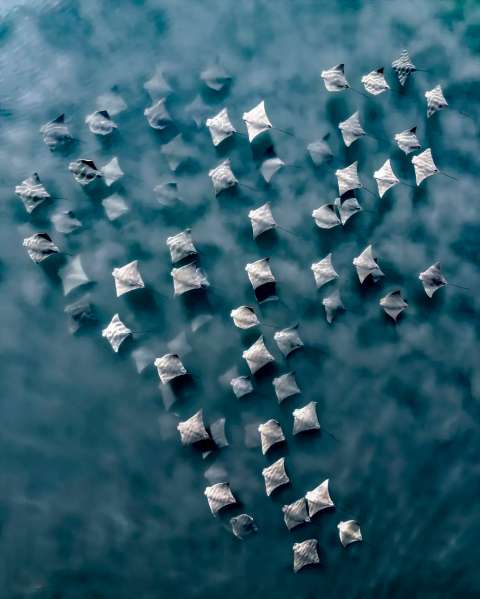 Estas son las impresionantes imágenes ganadoras de un concurso de fotografía aérea
