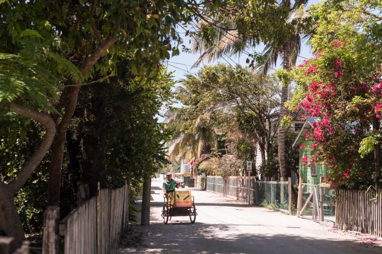 En Caye Caulker, las calles de arena y la ausencia de automóviles reflejan el espíritu del lema "Go Slow", una invitación permanente a vivir sin afanes.