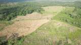 La disminución de lluvias en la Amazonía está relacionada con la deforestación