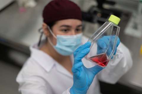 Análisis de ADN antiguo revela casos de síndrome de Down en la Prehistoria europea