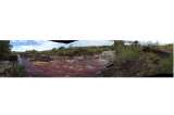 El renacimiento de Caño Cristales