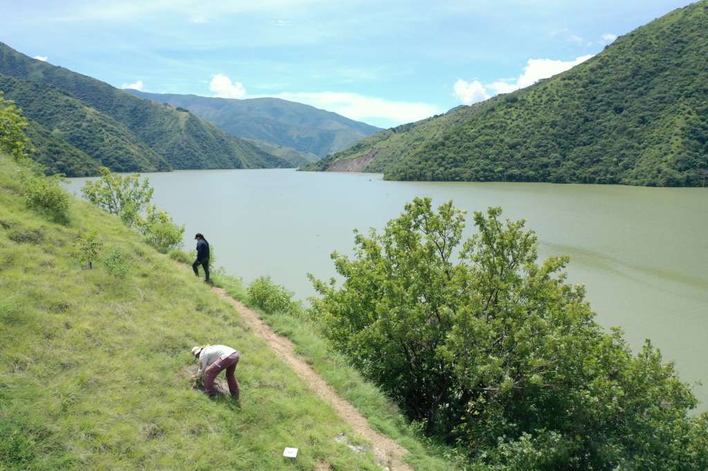 Así se cumplen las labores para restaurar el bosque.