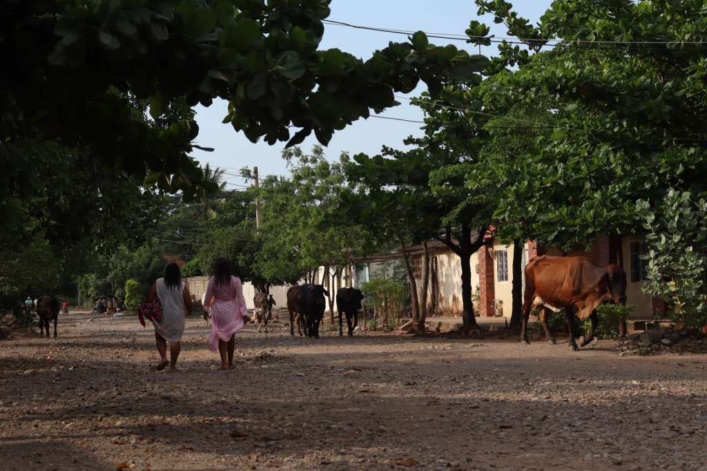 Proyecto minero en Cañaveralejo
