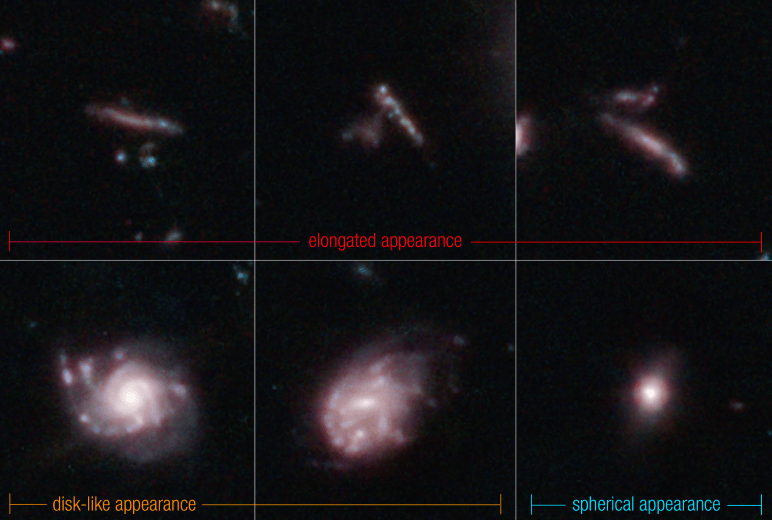Las galaxias suelen aparecer planas y alargadas, como fideos de piscina o tablas de surf (en la fila superior). Las galaxias delgadas, en forma de discos circulares, que se parecen a los frisbees, son el siguiente grupo más grande (que se muestra en la parte inferior izquierda y en el centro). Las galaxias con forma de esferas o pelotas de voleibol constituyeron la fracción más pequeña de sus detecciones (que se muestran en la parte inferior derecha). /NASA, ESA, CSA, Steve Finkelstein (UT Austin), Micaela Bagley (UT Austin), Rebecca Larson (UT Austin)
