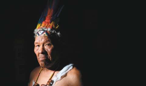 ¿Por qué la Amazonia está en riesgo?