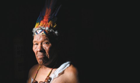 ¿Por qué la Amazonia está en riesgo?