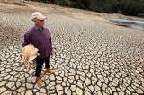 Latinoamérica puede “hacer más” contra la crisis climática, dicen la OCDE y el BID