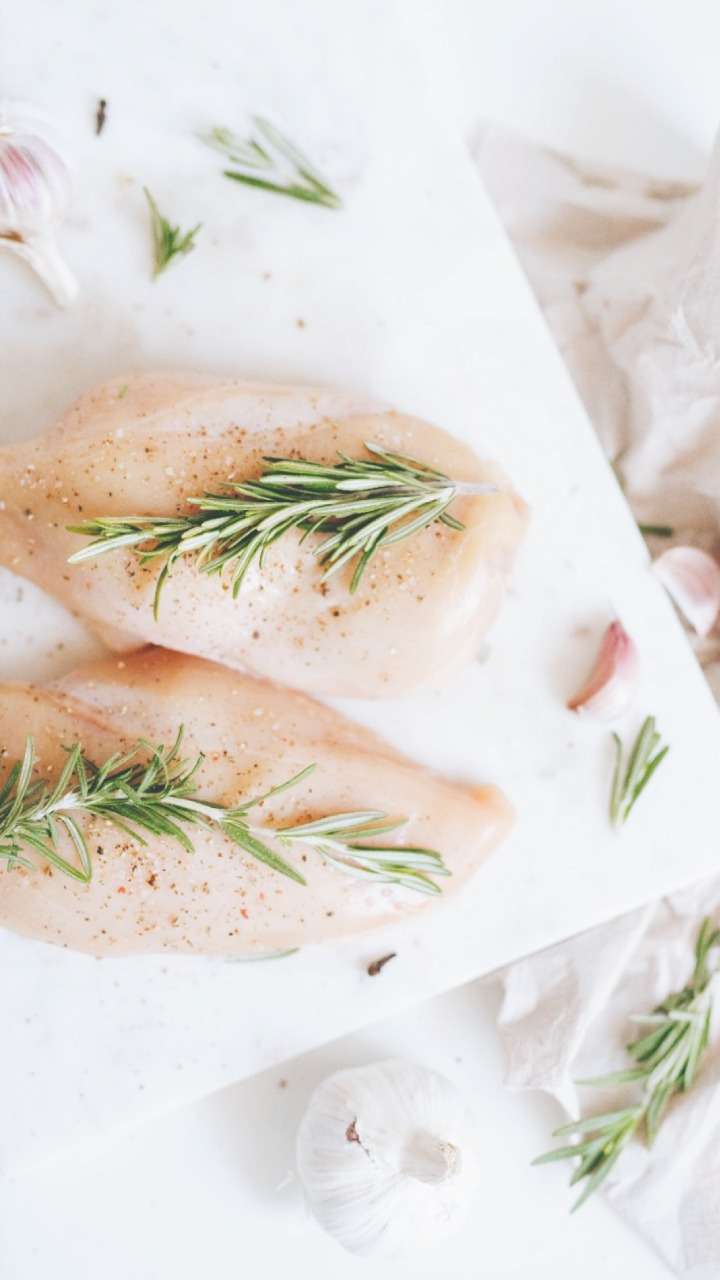 Pollo
