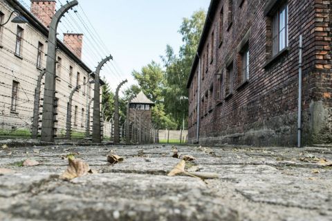 Senado polaco aprueba polémica ley del Holocausto